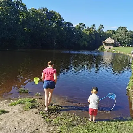 Rustling Pines At Knaresborough Lido Harrogate