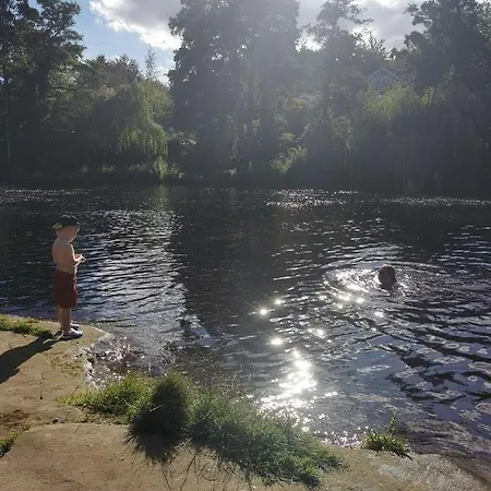 Rustling Pines At Knaresborough Lido