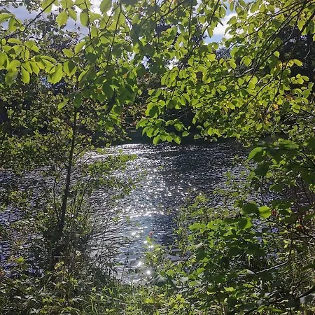 Rustling Pines At Knaresborough Lido Parque de Campismo