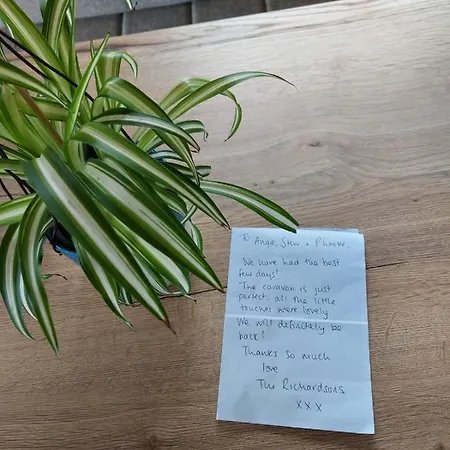 Rustling Pines At Knaresborough Lido