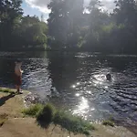 Rustling Pines At Knaresborough Lido