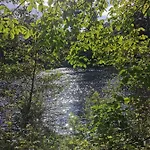 Rustling Pines At Knaresborough Lido Campsite